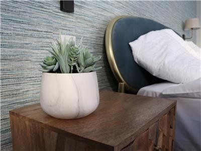 Chapel Lodge - Roof Top Garden!Perfect For Your Family Bath Luaran gambar